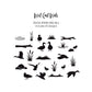 Duck Pond Decals