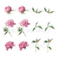 Watercolor Peony Removable Decals