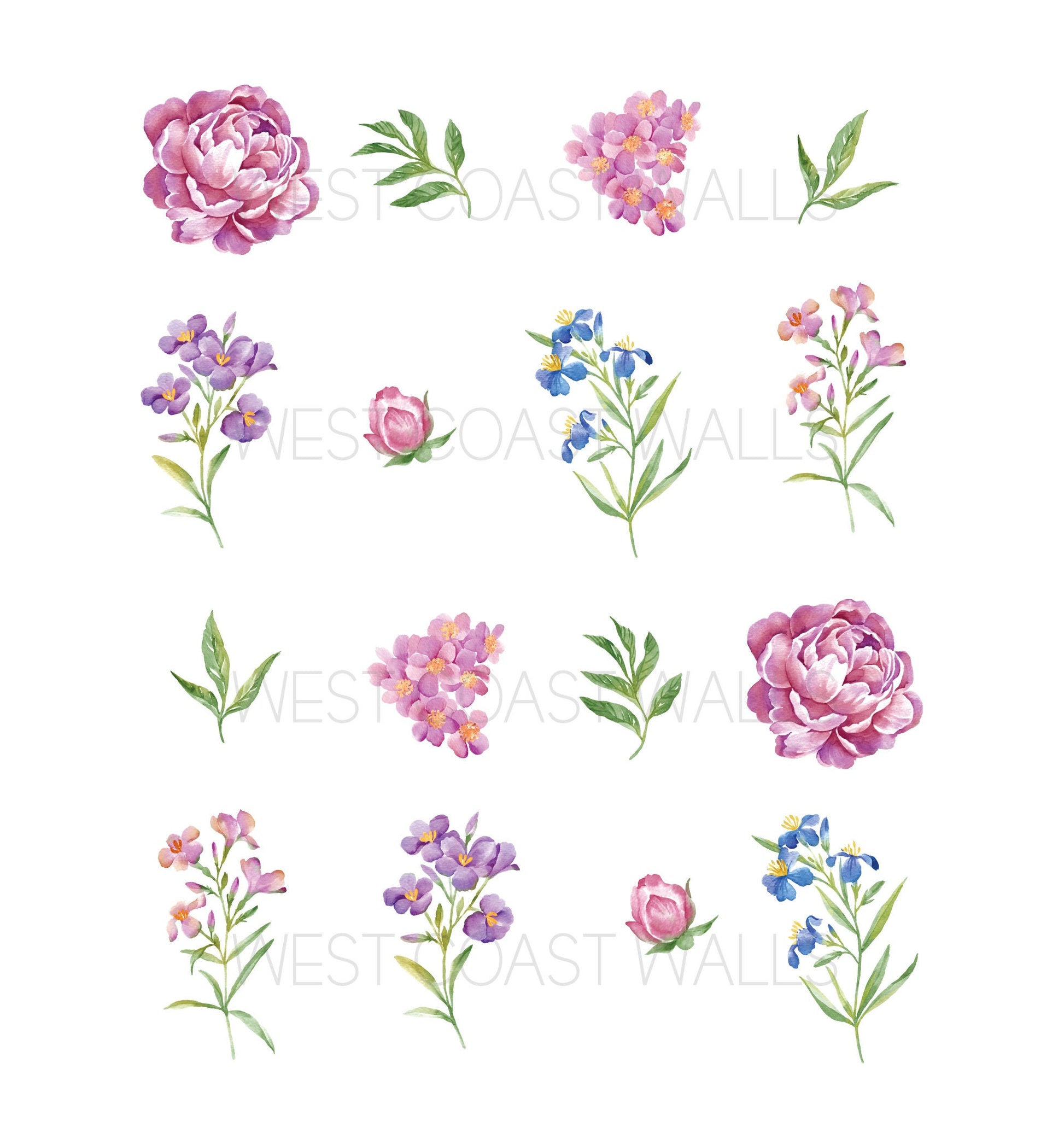 Removable Wildflower Watercolor Floral Wall Decals