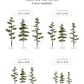 Large Watercolor Pine Tree Removable Wall Decal