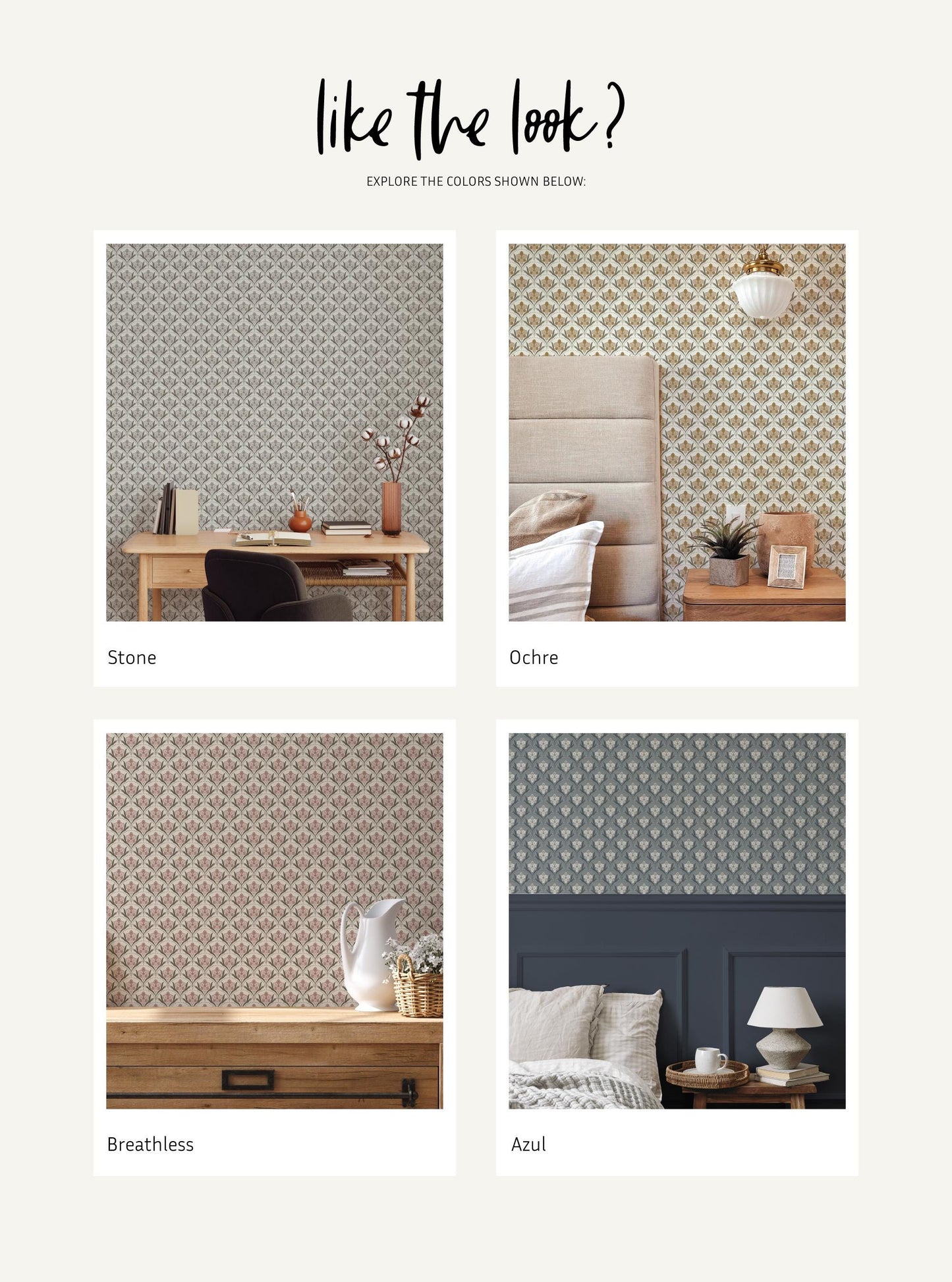Iris Scallop x Lisee Ree Designs / Classic Wallpaper / Floral Wallpaper / Hand Drawn Wallpaper / Floral Motif