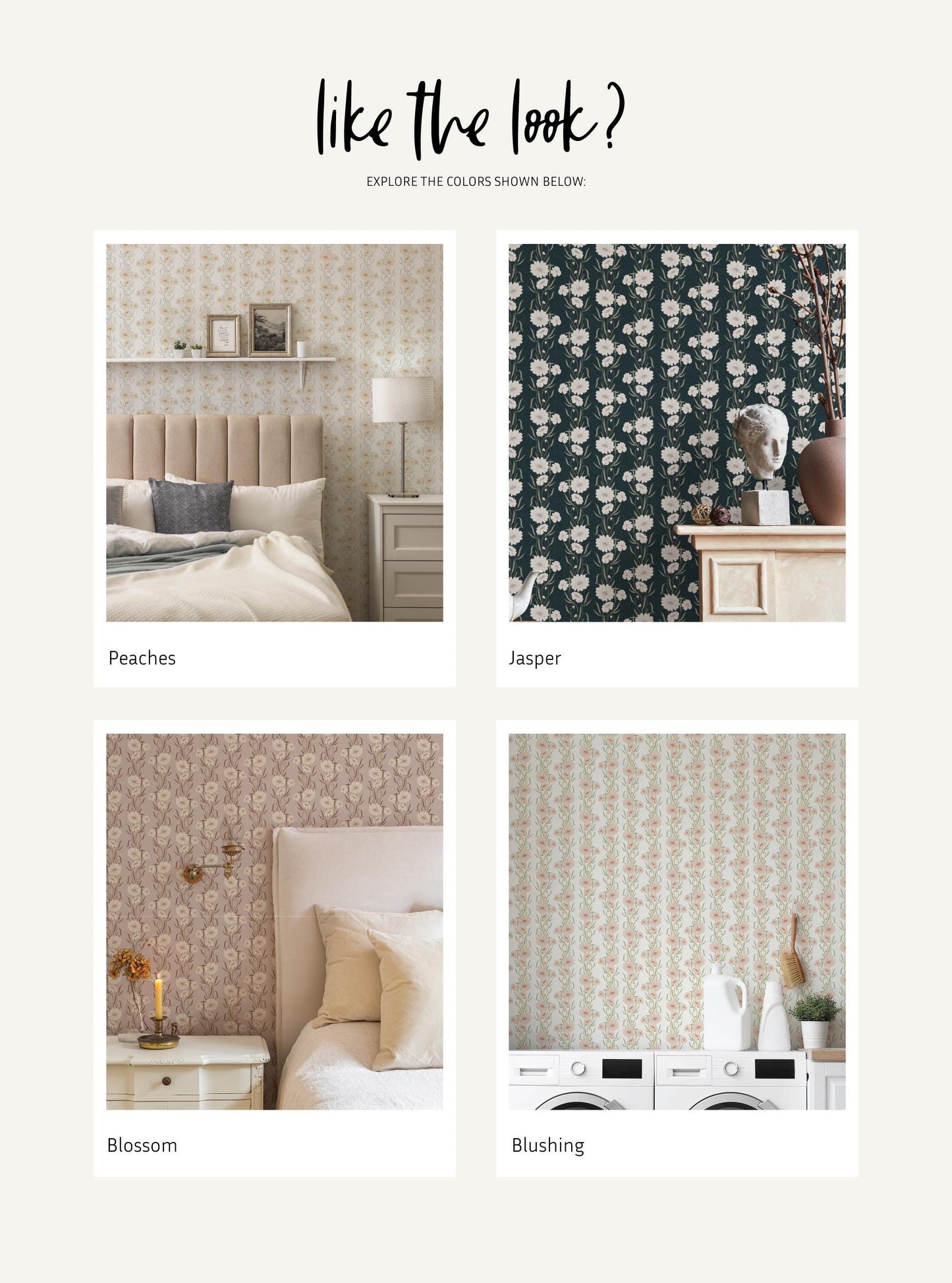 Daisy Columns x Lisee Ree Designs / Classic Wallpaper / Floral Wallpaper / Hand Drawn Wallpaper / Floral Motif